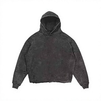 Sweat-shirts à capuche unisexes de haute qualité, 100% coton, 460 grammes, style oversize, avec logo personnalisé en gros, plusieurs couleurs