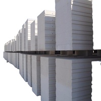 Panneau mural ALC/AAC léger pour plafond, best-seller, fabrication professionnelle