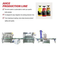 Machine de remplissage, de bouchage et d'étiquetage professionnelle pour jus de fruits, vente en gros d'usine, avec certification CE