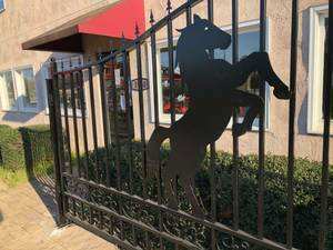 Cancello in Acciaio OEM ODM, Doppio Cancello Frontale a 5 Barre in Acciaio Corten, Cancello Motorizzato Certificato CE, Recinzione per Fattoria, Cancello Decorativo - Product Image 2