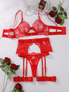 Completo Intimo Sexy da Donna Ricamato con <span class=keywords><strong>Pizzo</strong></span>, Reggicalze di Lusso Trasparente, <span class=keywords><strong>Reggiseno</strong></span> e Slip 2026 - Product Image 4