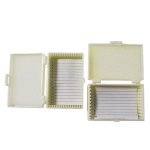 Kit de Portaobjetos Transparentes para Experimentos Biológicos, Kit de Portaobjetos del Ciclo de Vida de Bryophites, Muestras de Portaobjetos para Enseñanza - Product Image 3