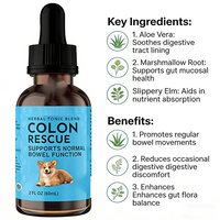 Complément nutritionnel OEM/ODM pour la santé intestinale des chiens et des chats, soutien ciblé pour le tractus gastro-intestinal inférieur