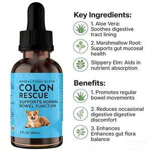 Complément nutritionnel OEM/ODM pour la santé intestinale des chiens et des chats, soutien ciblé pour le tractus gastro-intestinal inférieur - Product Image 6