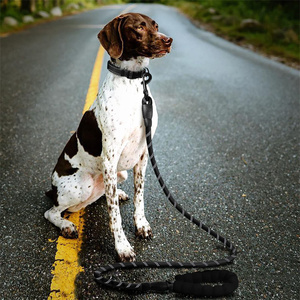 <span class=keywords><strong>Collar</strong></span> y correa para perro con logotipo personalizado, Conjunto personalizado de nailon reflectante de lujo, <span class=keywords><strong>collar</strong></span> y correa para perro, collares y correas - Product Image 4