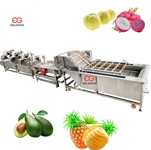 Gelgoog <b>Fruit</b> Washer Conveyor Belt Avocado Brush Washing <b>Machine</b> <b>Fruit</b> <b>Vegetable</b> <b>Processing</b> <b>Machines</b> Avocado Washing <b>Machine</b> - Product Image 1