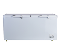 Congélateur coffre horizontal grande capacité WKN 2 portes à froid direct, température unique, N-ST Climate, excellente qualité, en promotion
