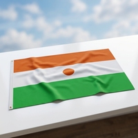 Drapeau du Niger suspendu personnalisé avec logo, taille 3*5FT, toutes tailles disponibles, drapeaux nigériens orange, blancs et verts