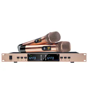 Doğrudan satış mikro kablosuz mikrofon yeni teknoloji Karaoke makinesi karaoke hoparlörü Mic ve Bluetooth ile fabrika fiyatları