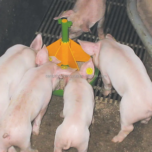 Nouvel alimentateur semi-automatique pour porcs en <span class=keywords><strong>plastique</strong></span> pour l'élevage porcin - Product Image 4