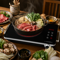 Cuisinière électrique infrarouge 2000W, plaque chauffante simple, cuisinière en céramique portable avec minuterie pour la cuisine à domicile