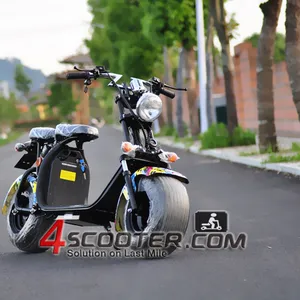 EEC CoC Citycoco Skuter Listrik Tri Tiga Roda Salju Snowmobile