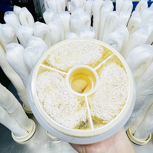 Système d'ultrafiltration à trois membranes, purificateur d'eau, 8 <span class=keywords><strong>Dalton</strong></span>, système de laboratoire - Product Image 6