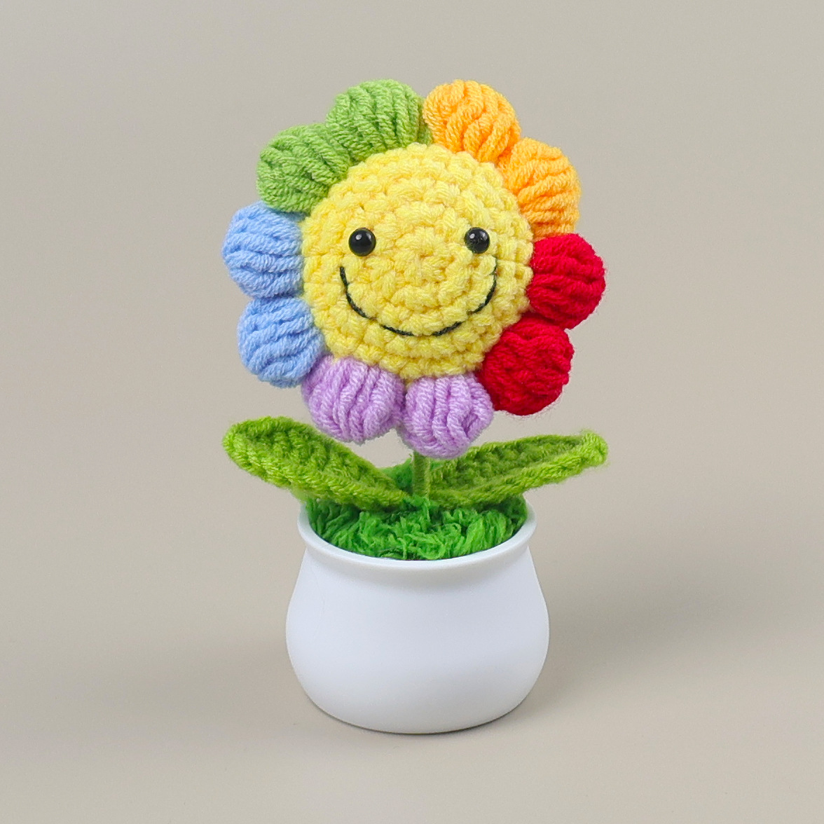 Nouvelle plante en pot visage souriant 5 couleurs (5 cercles)