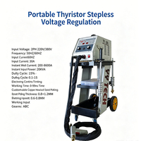 Machine de réparation de tôles AUTO Stable Power à un ou deux pistolets YY-21000, grande coque pour les tâches quotidiennes de restauration des métaux