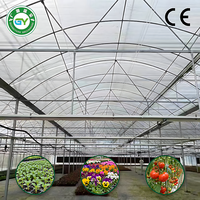 Serre Commerciale Multi-Span en Film, Ensemble Complet avec Système Hydroponique pour Fleurs et Jeunes Pousses