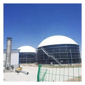 WS Biogas 소화자 폐기물 처리 공장 사용/산업 biodigester CSTR biogas 저장 탱크/좋은 품질