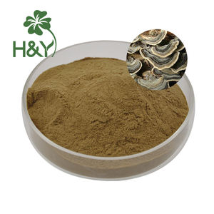 חם מכירת Coriolus versicolus לחלץ קפסולות זנב turkey - Product Image 6