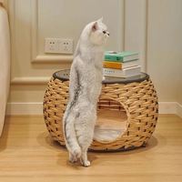 Maison pour chat moderne de haute qualité avec toit en verre, en PE imperméable, facile à nettoyer, pour salon et extérieur, toutes saisons, mobilier pour animaux de compagnie
