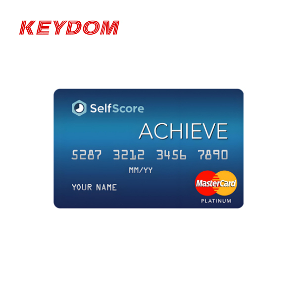 Customized Dual Interface RFID Waterproof High Quality EMV Master Card & Visa Card Business Card Payment