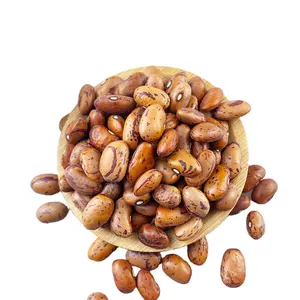 Hot Selling Factory Sale Price Common Light Speckled Kidney Beans Round shape