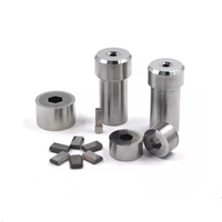 Matrices de pressage à froid de haute précision pour vis, outils de moulage PVD, moules métalliques électroplaqués pour la fabrication de vis