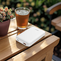 Batterie externe portable en polymère à affichage LED, vente en gros, charge rapide PD 20W, OEM, mini batterie externe 10000mAh, vente chaude en usine
