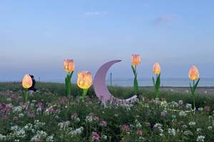 เครื่องประดับแกว่งไฟเบอร์กลาสเรซินกลางแจ้งขนาดใหญ่รูปปั้นดอกไม้สไตล์นางฟ้าดวงจันทร์สำหรับห้างสรรพสินค้าและโรงแรม - Product Image 6