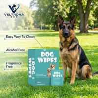 Lingettes pour animaux de compagnie écologiques, douces et durables, emballées individuellement, lingettes humides jetables XL, pour chiots, chatons, voyages, nettoyage à domicile