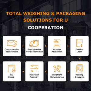 Macchina Automatica per il Riempimento di Polveri e Granuli per Zucchero, Sale, Condimenti, Spezie, Essenza di Pollo, Glutammato Monosodico, Fagioli, Cereali, Semi, Frutta Secca - Product Image 6