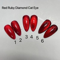 Bouteille OEM 1 kg diamant rubis rouge Ensemble de vernis gel pour les yeux de chat 6 couleurs Vernis à ongles gel pour les yeux de chat Échantillon gratuit de gel de marque privée