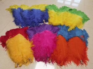 <span class=keywords><strong>Plumas</strong></span> <span class=keywords><strong>de</strong></span> Avestruz <span class=keywords><strong>de</strong></span> Color Bicolor <span class=keywords><strong>con</strong></span> Punta <span class=keywords><strong>de</strong></span> 60-65 cm para Disfraces <span class=keywords><strong>de</strong></span> <span class=keywords><strong>Carnaval</strong></span>, <span class=keywords><strong>Tocados</strong></span>, Mochilas y Decoraciones - Product Image 6