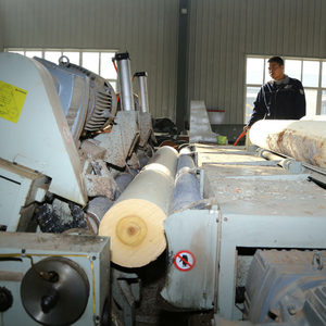 Hojas rusas de tilo de primera clase para cortar madera contrachapada curvada <span class=keywords><strong>melamina</strong></span> Marina 4x8 paneles de pared de madera muebles de madera de grado madera - Product Image 6