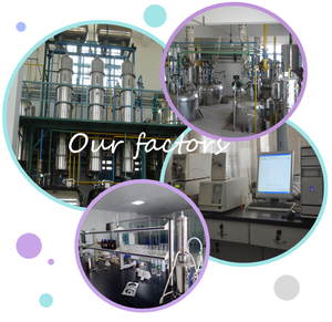 Polvo de jugo de calabacín en polvo Cucurbita Pepo vegetal natural de calidad alimentaria para bebidas - Product Image 6