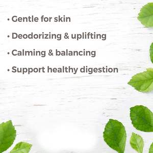 O vapor destilou o número 8014-17-3 99,99% puro, categoria terapêutica não diluída de CAS do óleo essencial de Petitgrain - Product Image 2