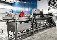 Nouvelle Conception 2026 : Ligne de Lavage Automatique Économique pour Légumes-Racines avec Convoyeur pour Usine de Transformation Alimentaire