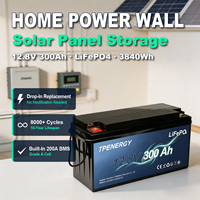 Batterie TPENERGY 12,8V 300Ah LFP, cellules de qualité A, BMS 200A, haute capacité, stockage solaire domestique, Power Wall