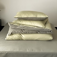 Parure de lit chaude et épaisse anti-boulochage pour l'hiver humide et froid, 100% coton brossé 50S, personnalisable, vente en gros