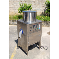 Machine à éplucher automatique d'éplucheur d'ail sec en acier inoxydable au prix le plus bas