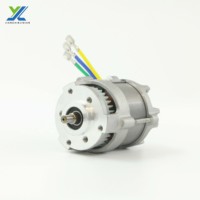 Tondeuse à gazon pour la coupe de l'herbe Moteur électrique de pelouse autopropulsé pour la tondeuse à gazon 3800rpm Dc 48V Bldc Motors