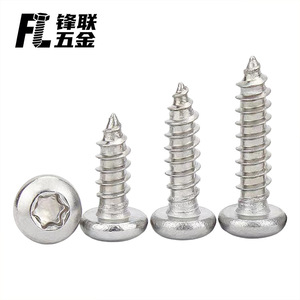 Tornillos Autorroscantes Torx de Cabeza Redonda de Acero Inoxidable 304 Fenglian M2-M5 Resistentes a la Corrosión para la Industria de la Construcción - Product Image 4