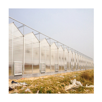 Serre agricole multi-spans en polycarbonate avec structure métallique