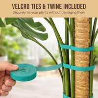 Lot de 2 piquets de mousse pliables de 48 pouces pour Monstera, supports de plantes, bâtons hauts, treillis d'intérieur pour plantes d'intérieur