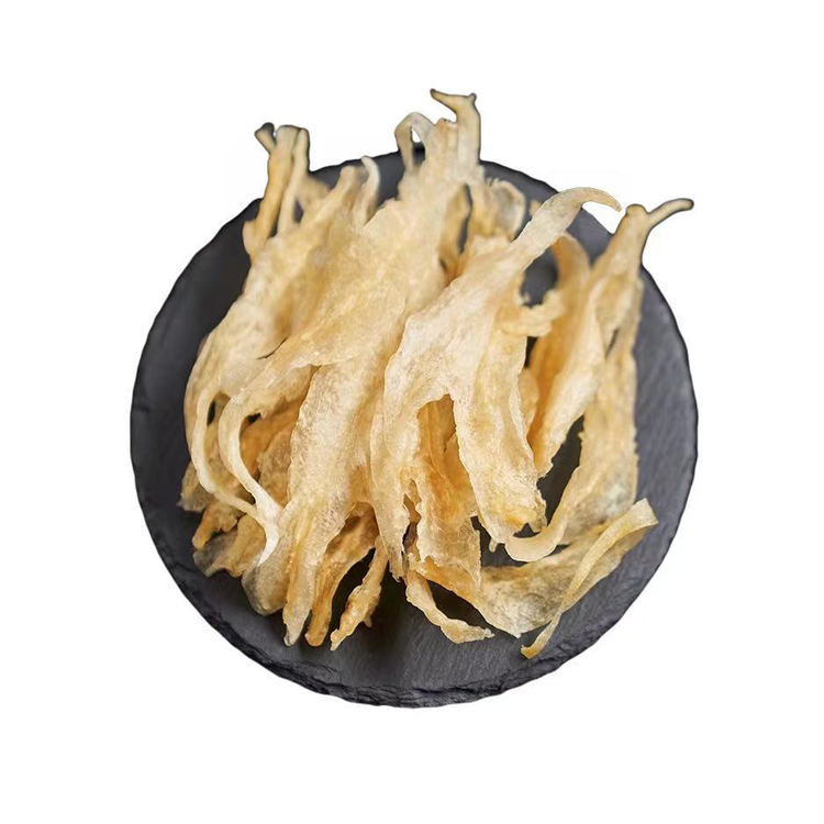 wholesale fish maw/swim bladder from at competitive price