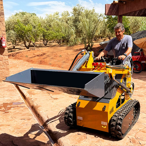Mới CE EPA động cơ diesel skidsteer bánh xe nhỏ bánh xích <span class=keywords><strong>loader</strong></span> Trái Đất di chuyển máy móc Mini Skid chỉ đạo Bộ nạp - Product Image 1