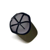 Offre Spéciale camionneur chapeau en cuir Patch Logo pays haut profil rayé camionneur chapeau, 5 panneau maille camionneur chapeau personnalisé