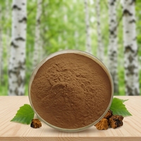 Sciyu Supply Poudre d'extrait de champignon Chaga avec 20% 50% de polysaccharides, qualité alimentaire, certifiée Halal