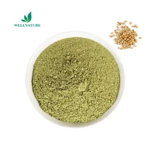 Bulk Coriander Seed Extract Coriander Leaves Powder Coriander Powder