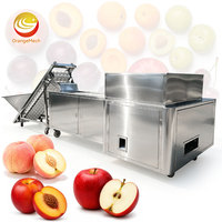 ORME Sus304 Automatische Kersen-Avocado-ontpittermachine Kleine Gedroogde Dadel-Abrikoos-Pruimen Ontpitmachine Prijs