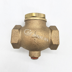 Vanne de retenue à bascule 1 pouce, joint PTFE, hydraulique, eau, industrielle, ISO228 DN80, bronze, sanitaire, vannes d'arrêt - Product Image 3